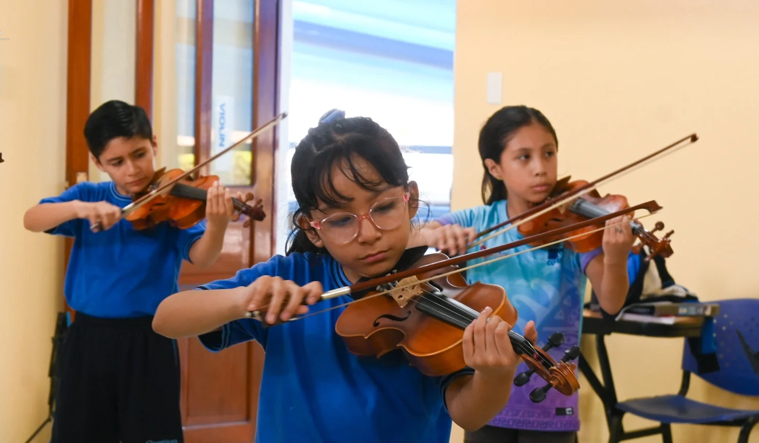 Violín